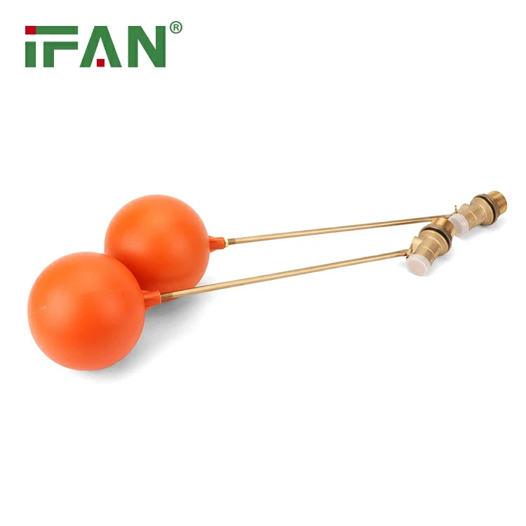 Float Valve  (13)